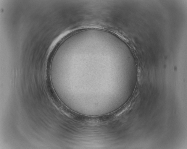 X0000086070200200704202134