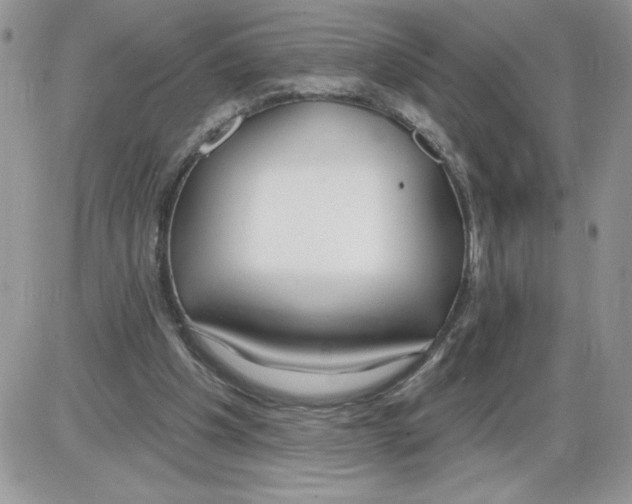 X0000086070201200704202134