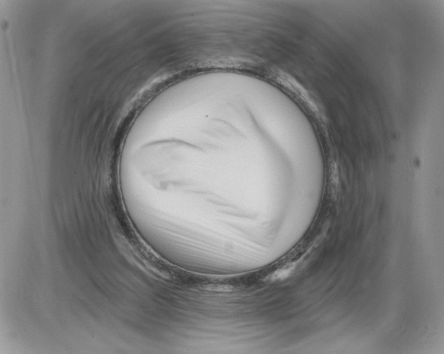 X0000086070203200704202134