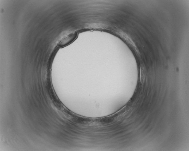 X0000086070204200704202134