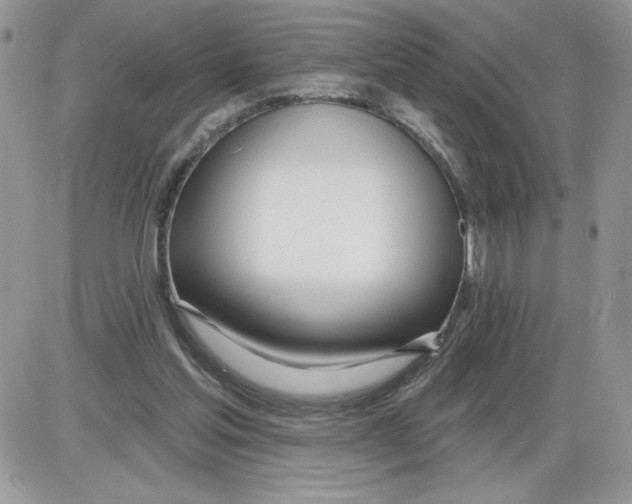 X0000086070205200704202134