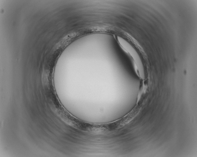 X0000086070209200704202134