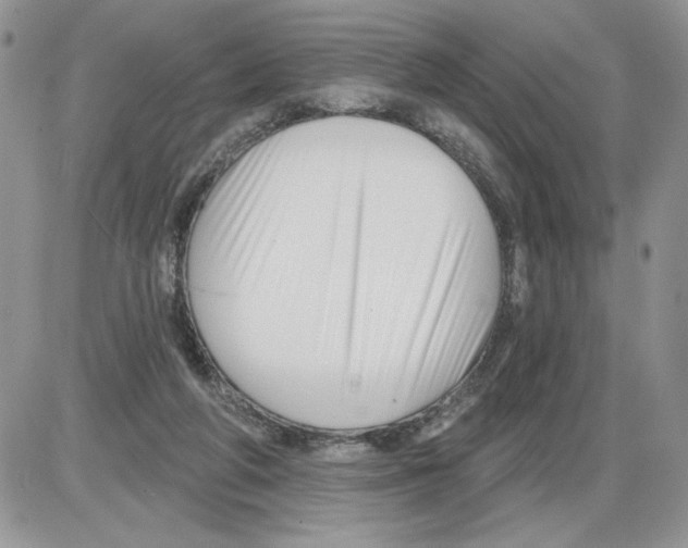 X0000086070210200704202134