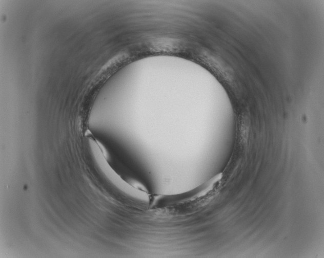 X0000086070211200704202134