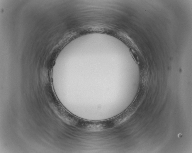 X0000086070213200704202134