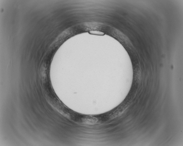 X0000086070215200704202134