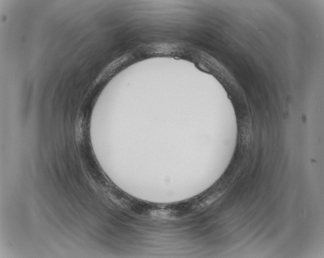 X0000086070216200704202134