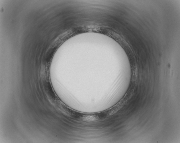 X0000086070218200704202134