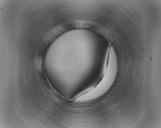 X0000086070219200704202134