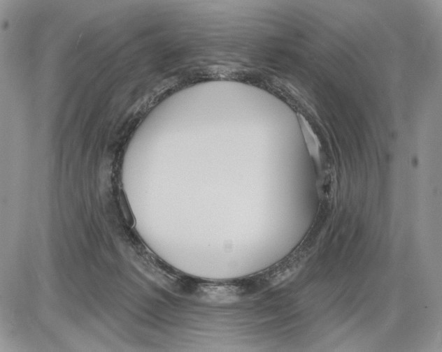 X0000086070221200704202134