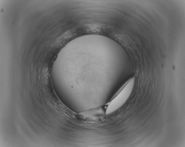 X0000086070223200704202134