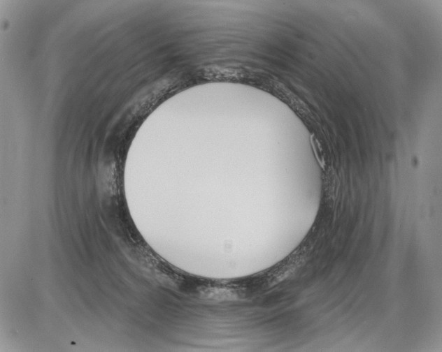 X0000086070224200704202134