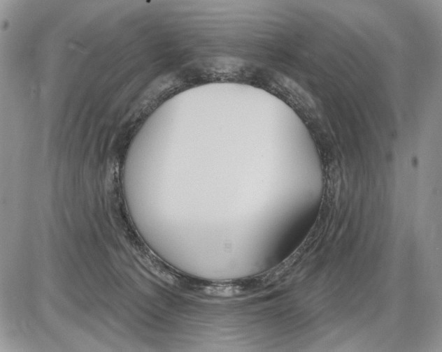 X0000086070225200704202134