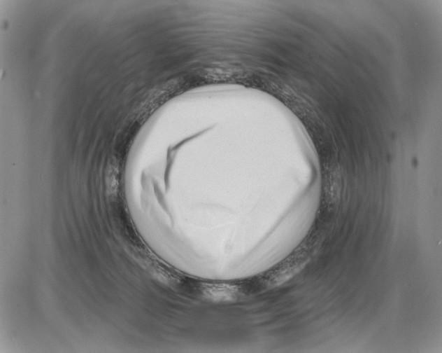 X0000086070226200704202134