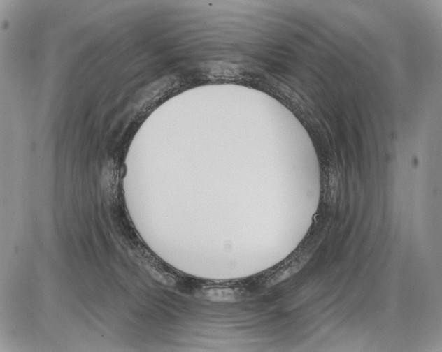 X0000086070228200704202134