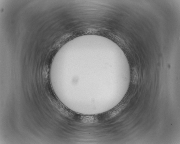 X0000086070230200704202134