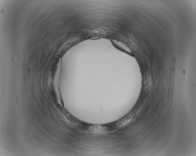 X0000086070231200704202134