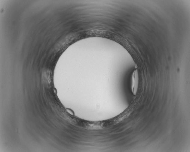 X0000086070232200704202134