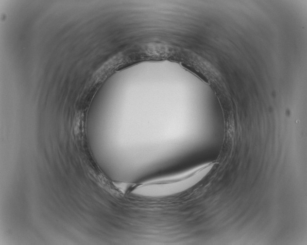 X0000086070233200704202134