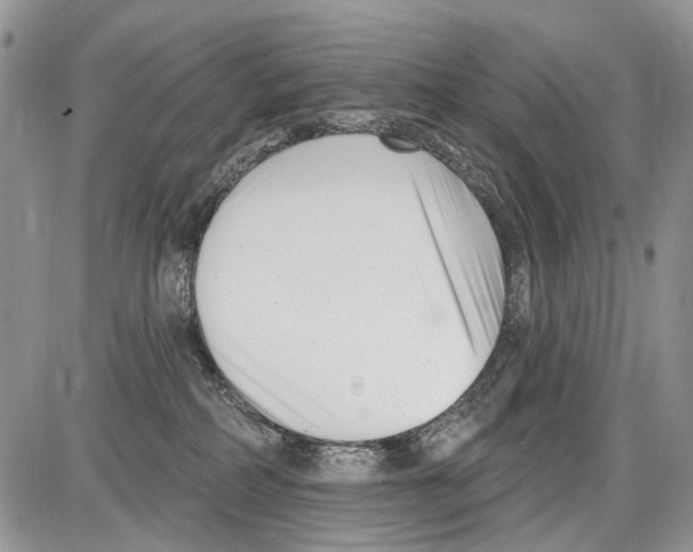 X0000086070234200704202134