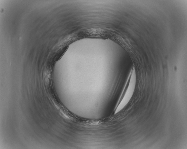 X0000086070235200704202134