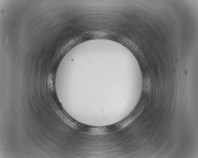 X0000086070238200704202134