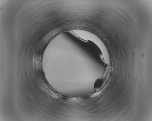 X0000086070239200704202134