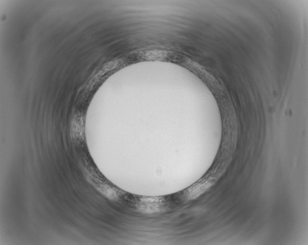 X0000086070240200704202134