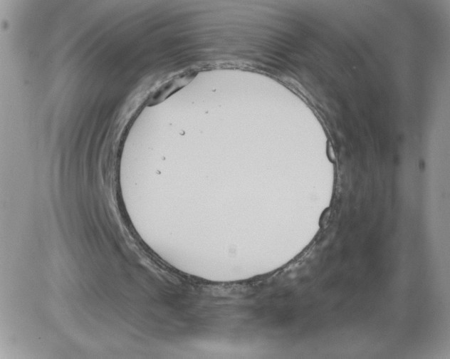 X0000086070241200704202133