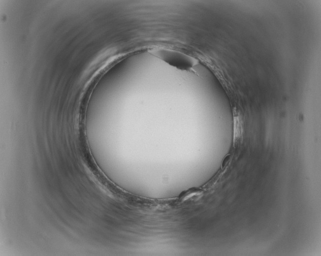 X0000086070243200704202133