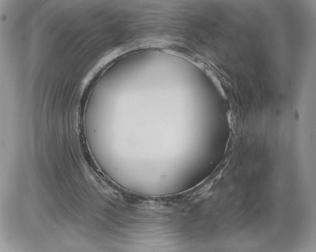 X0000086070244200704202133