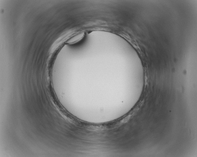 X0000086070245200704202133