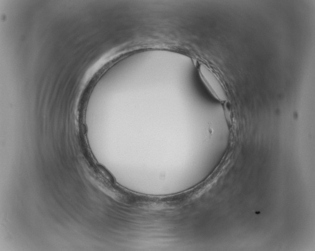 X0000086070246200704202133