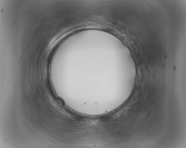 X0000086070247200704202133