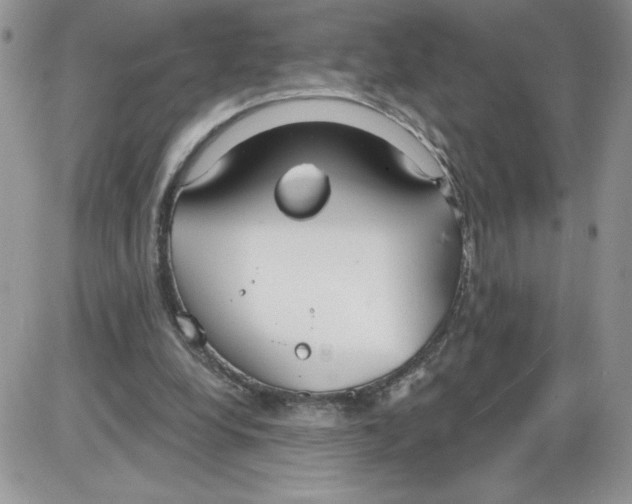 X0000086070248200704202133