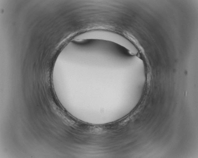 X0000086070249200704202133