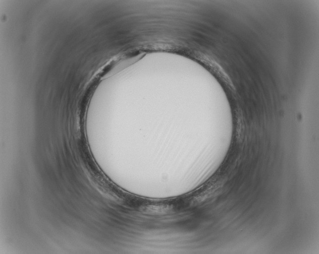 X0000086070251200704202133