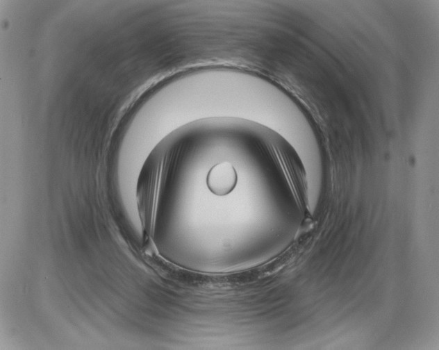 X0000086070252200704202133