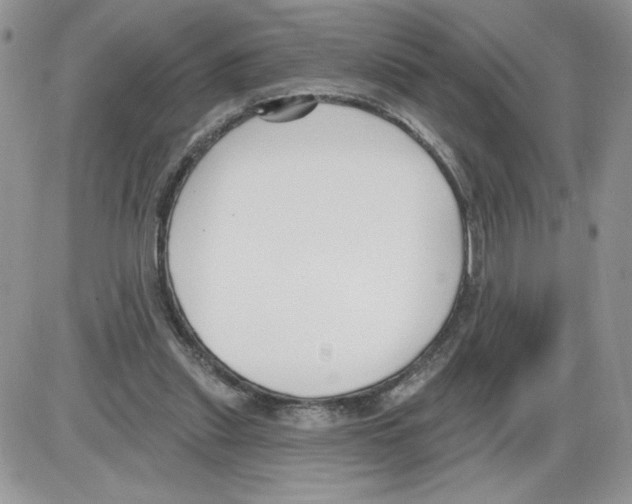 X0000086070253200704202133