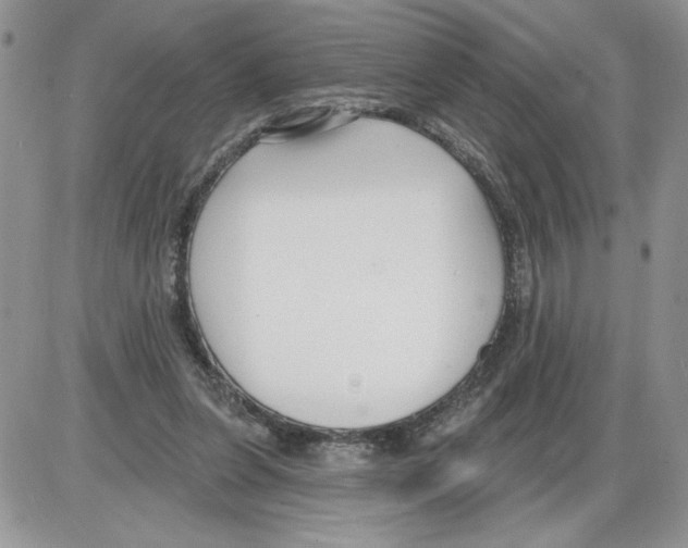 X0000086070255200704202133