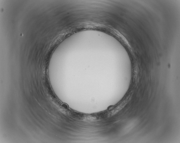 X0000086070257200704202133