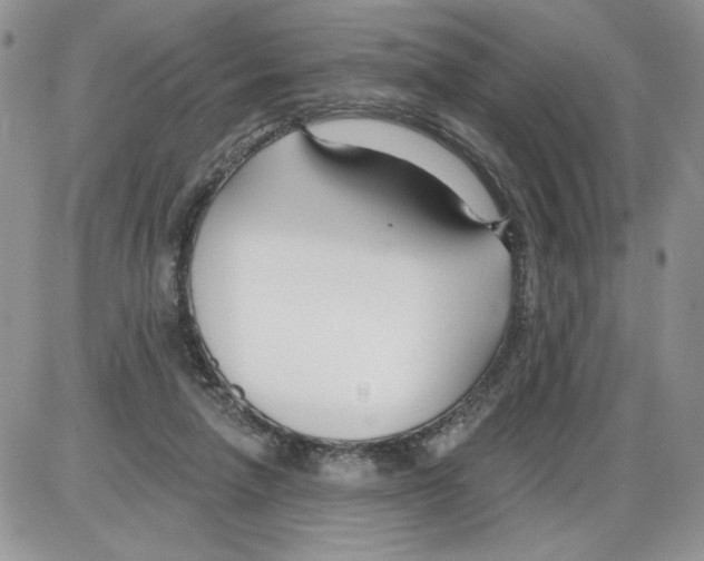 X0000086070258200704202133