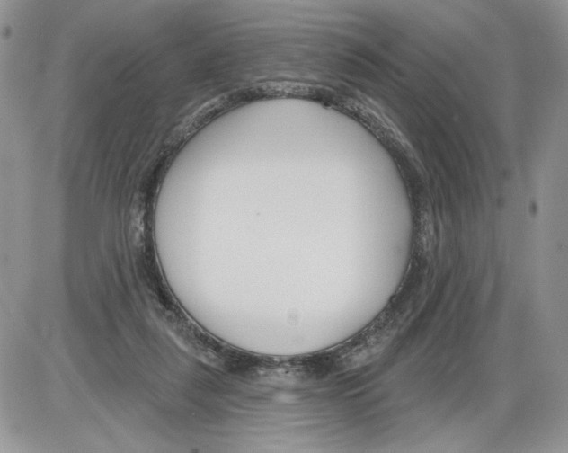 X0000086070259200704202133