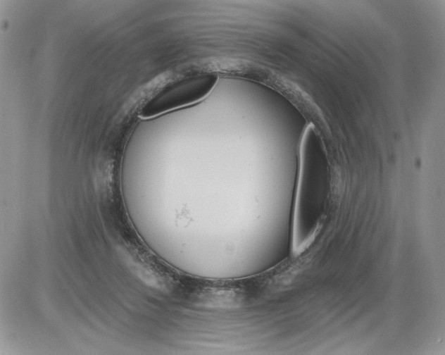 X0000086070260200704202133