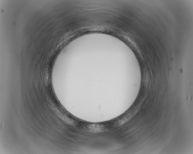 X0000086070261200704202133