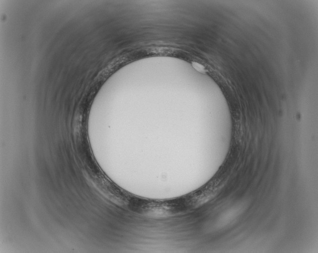 X0000086070263200704202133