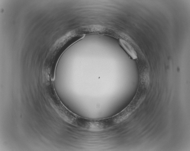 X0000086070264200704202133