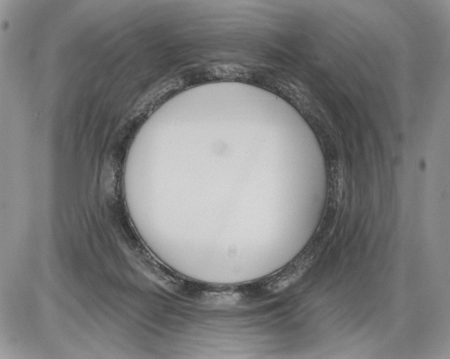 X0000086070266200704202133