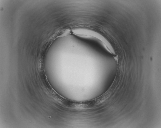 X0000086070268200704202134