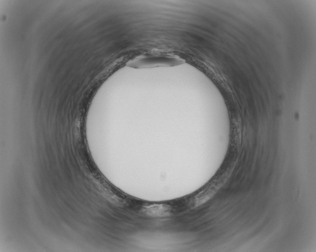 X0000086070269200704202134